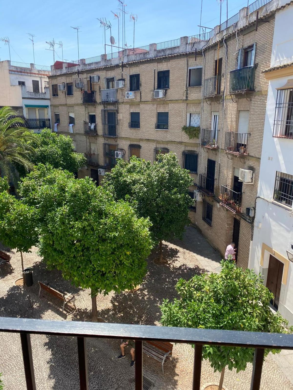 Apartament La Escalerita Kordoba Zewnętrze zdjęcie